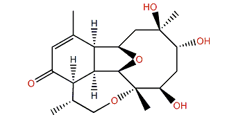 Pachyclavulariaenone G